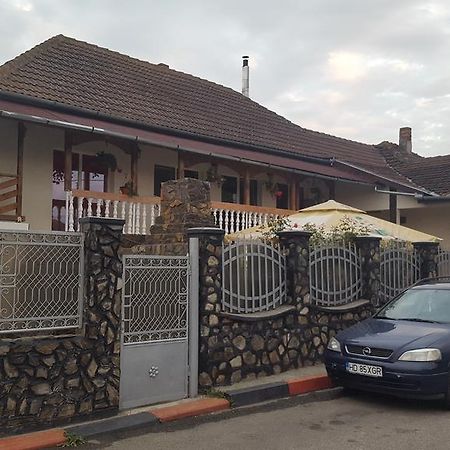 Apartament Casa Leo Haţeg Zewnętrze zdjęcie