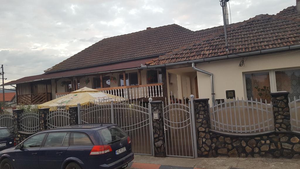 Apartament Casa Leo Haţeg Zewnętrze zdjęcie