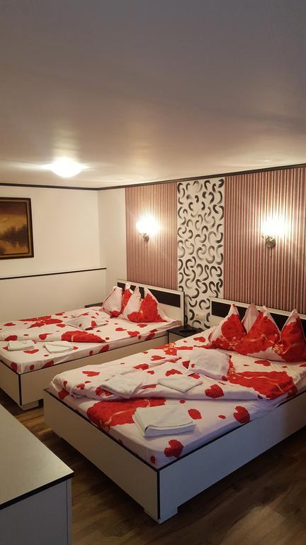 Apartament Casa Leo Haţeg Zewnętrze zdjęcie