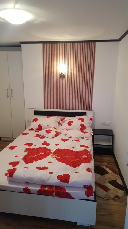 Apartament Casa Leo Haţeg Zewnętrze zdjęcie
