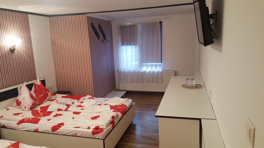 Apartament Casa Leo Haţeg Zewnętrze zdjęcie