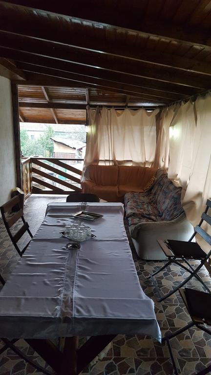 Apartament Casa Leo Haţeg Zewnętrze zdjęcie