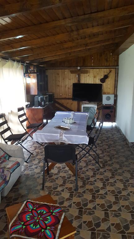 Apartament Casa Leo Haţeg Zewnętrze zdjęcie