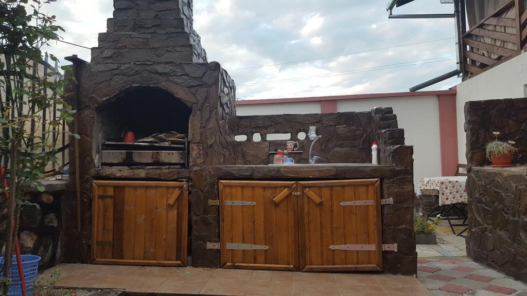 Apartament Casa Leo Haţeg Zewnętrze zdjęcie
