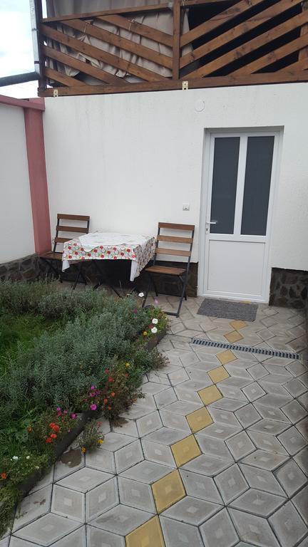 Apartament Casa Leo Haţeg Zewnętrze zdjęcie