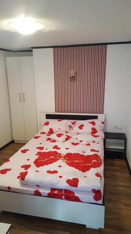 Apartament Casa Leo Haţeg Zewnętrze zdjęcie